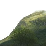 IMG_0770