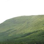 IMG_0771