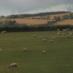 IMG_0853