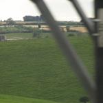 IMG_0855