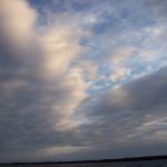 100_0368