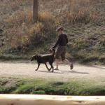 IMG_0959
