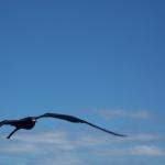 Galapagos Islands Dec 28, 2006
