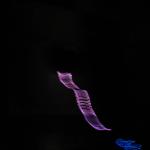 img_1153