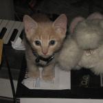 img_1346