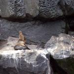 Galapagos Islands Dec 27, 2006
