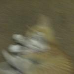 img_1522