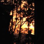 IMG_0080