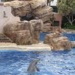 SeaWorld2008