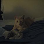 IMG_1734.JPG