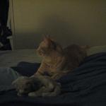 IMG_1735.JPG
