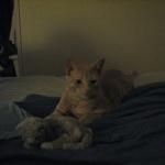 IMG_1736.JPG