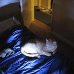 IMG_1740.JPG