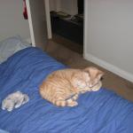 IMG_1746.JPG