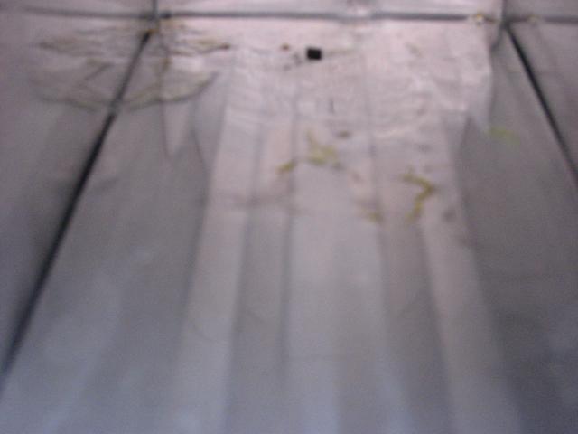 IMG_1750.JPG