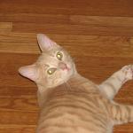IMG_1761.JPG