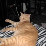 IMG_1773.JPG