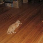 IMG_1880.JPG