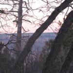 IMG_1946