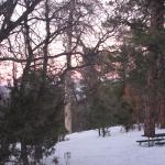 IMG_1947