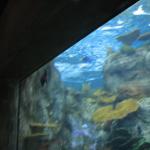 IMG_1983.JPG