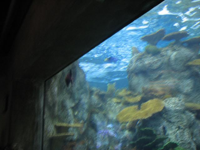 IMG_1983.JPG