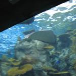 IMG_1984.JPG