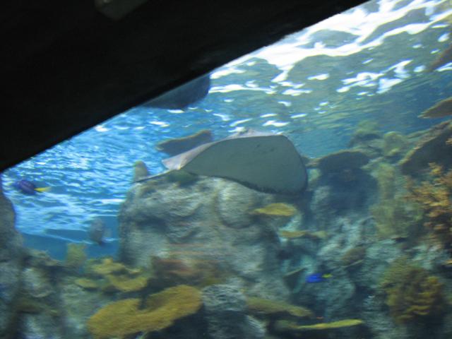 IMG_1984.JPG