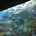 IMG_1985.JPG