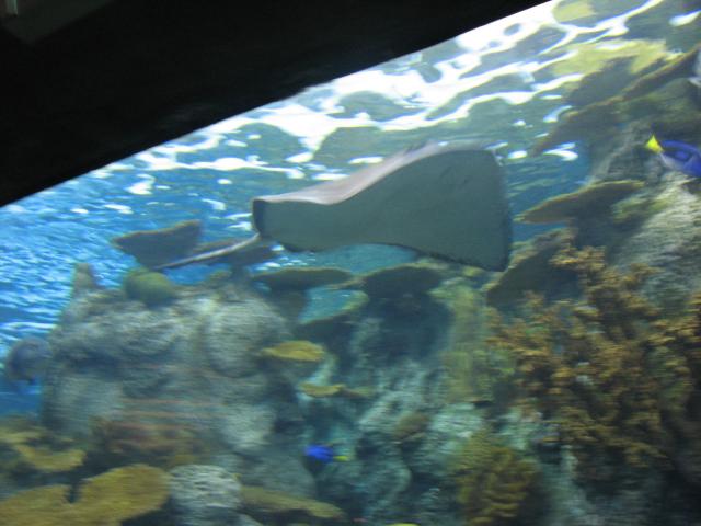 IMG_1985.JPG