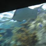 IMG_1986.JPG