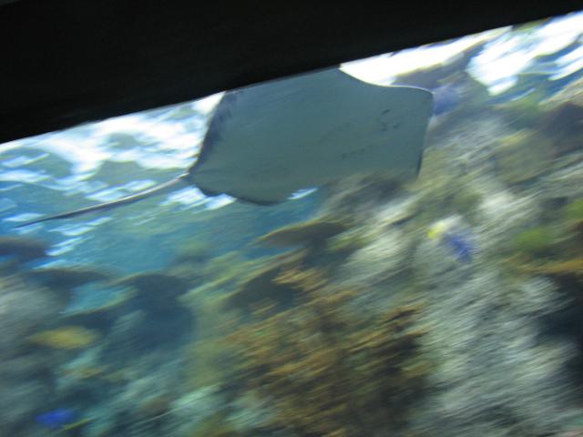 IMG_1986.JPG