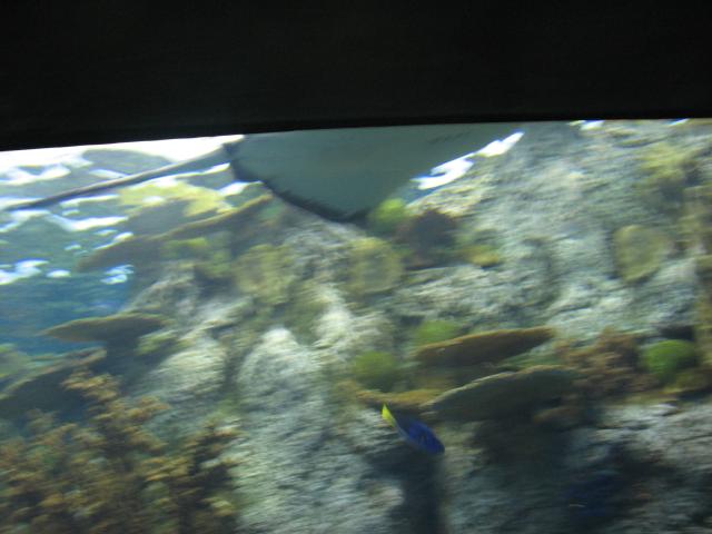 IMG_1987.JPG