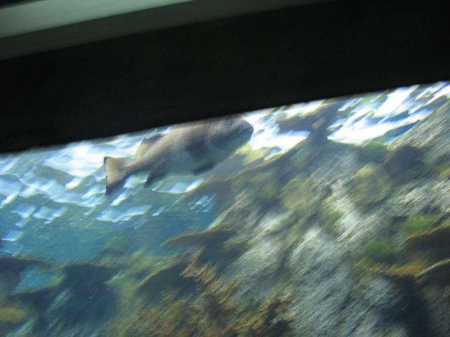 IMG_1988.JPG