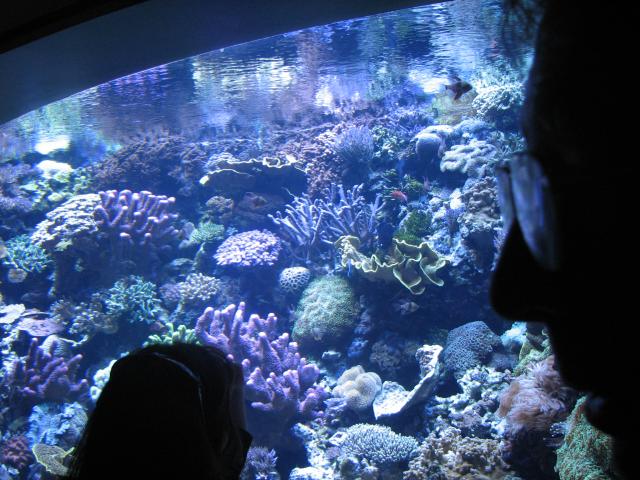 IMG_1989.JPG