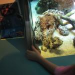 IMG_1990.JPG