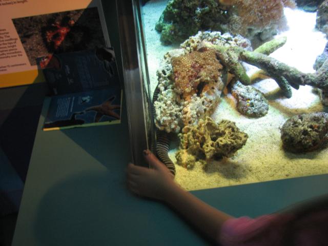 IMG_1990.JPG