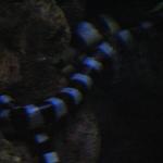 IMG_1997.JPG