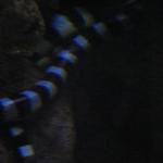 IMG_1998.JPG