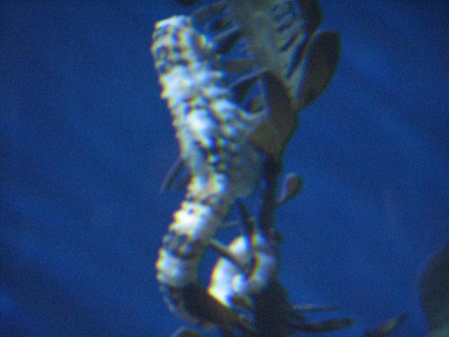 IMG_2002.JPG