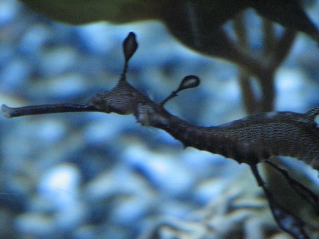 IMG_2004.JPG