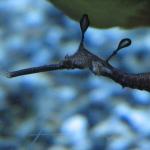 IMG_2005.JPG