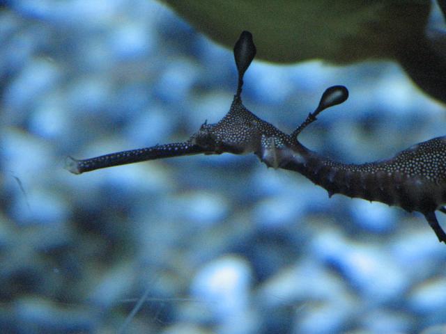 IMG_2005.JPG