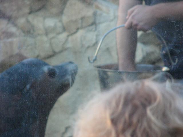 IMG_2012.JPG