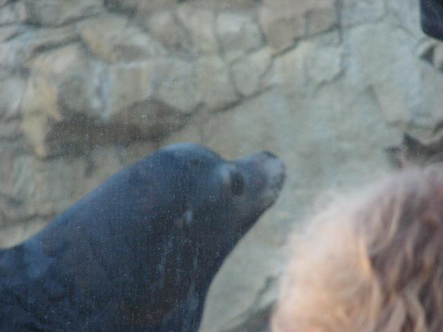 IMG_2014.JPG