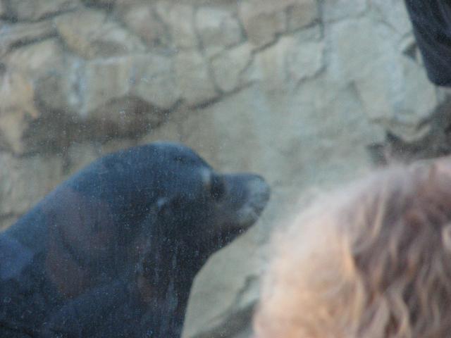 IMG_2015.JPG
