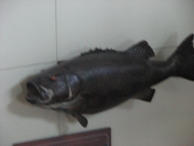 IMG_2026.JPG
