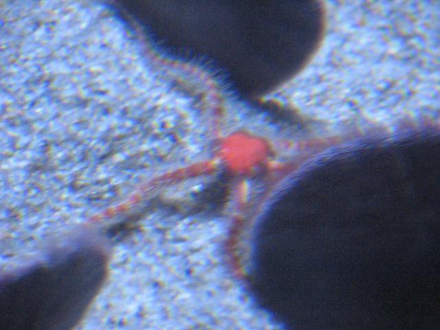 IMG_2030.JPG