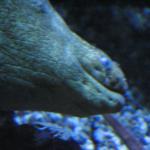 IMG_2031.JPG