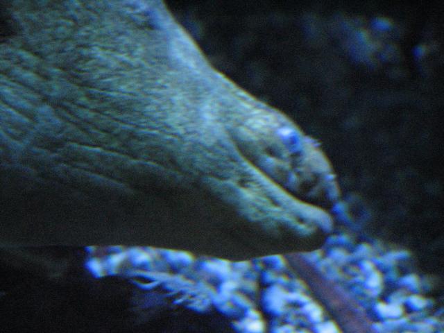 IMG_2031.JPG